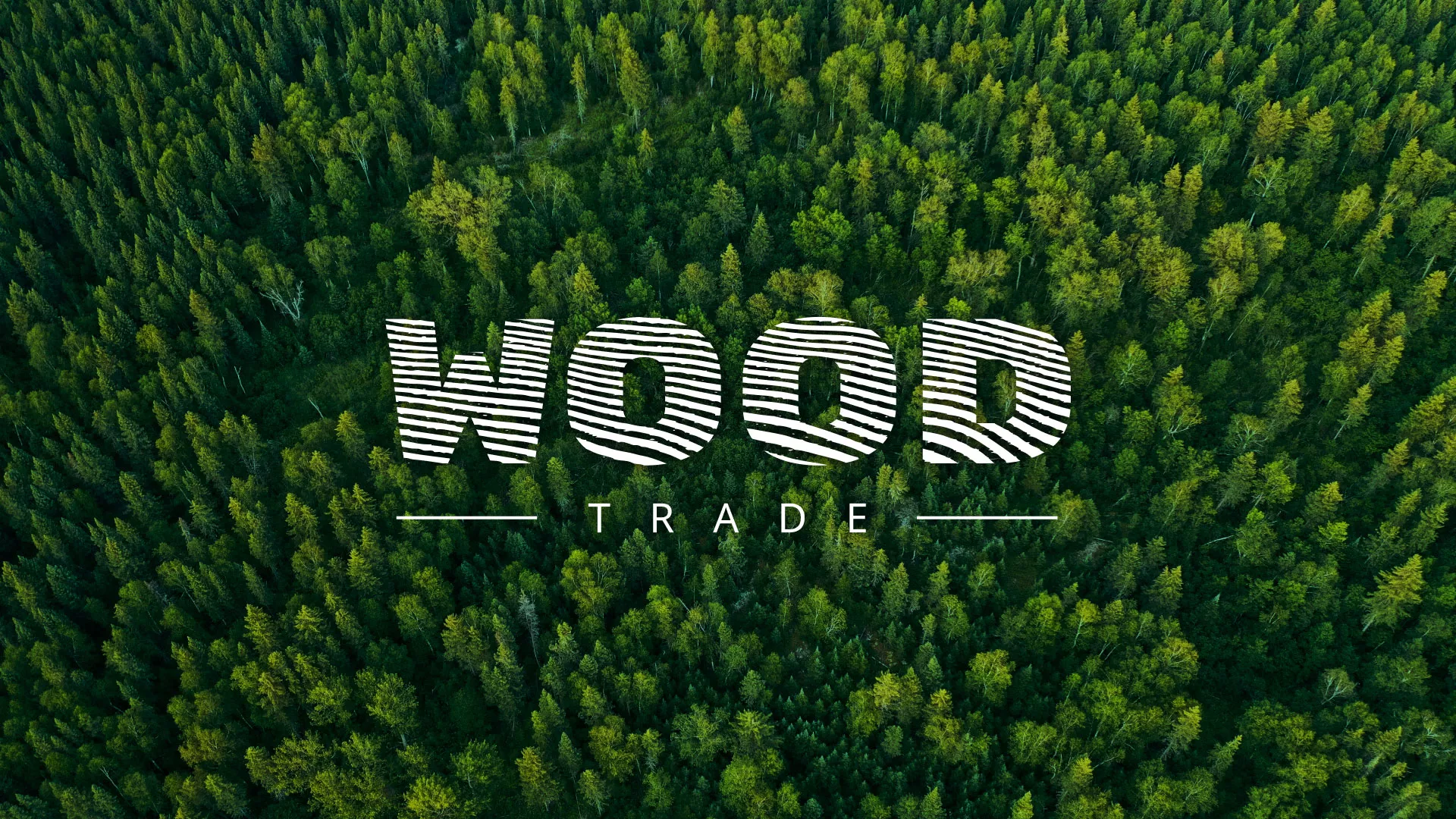 Разработка интернет-магазина компании «Wood Trade» в Тетюшах